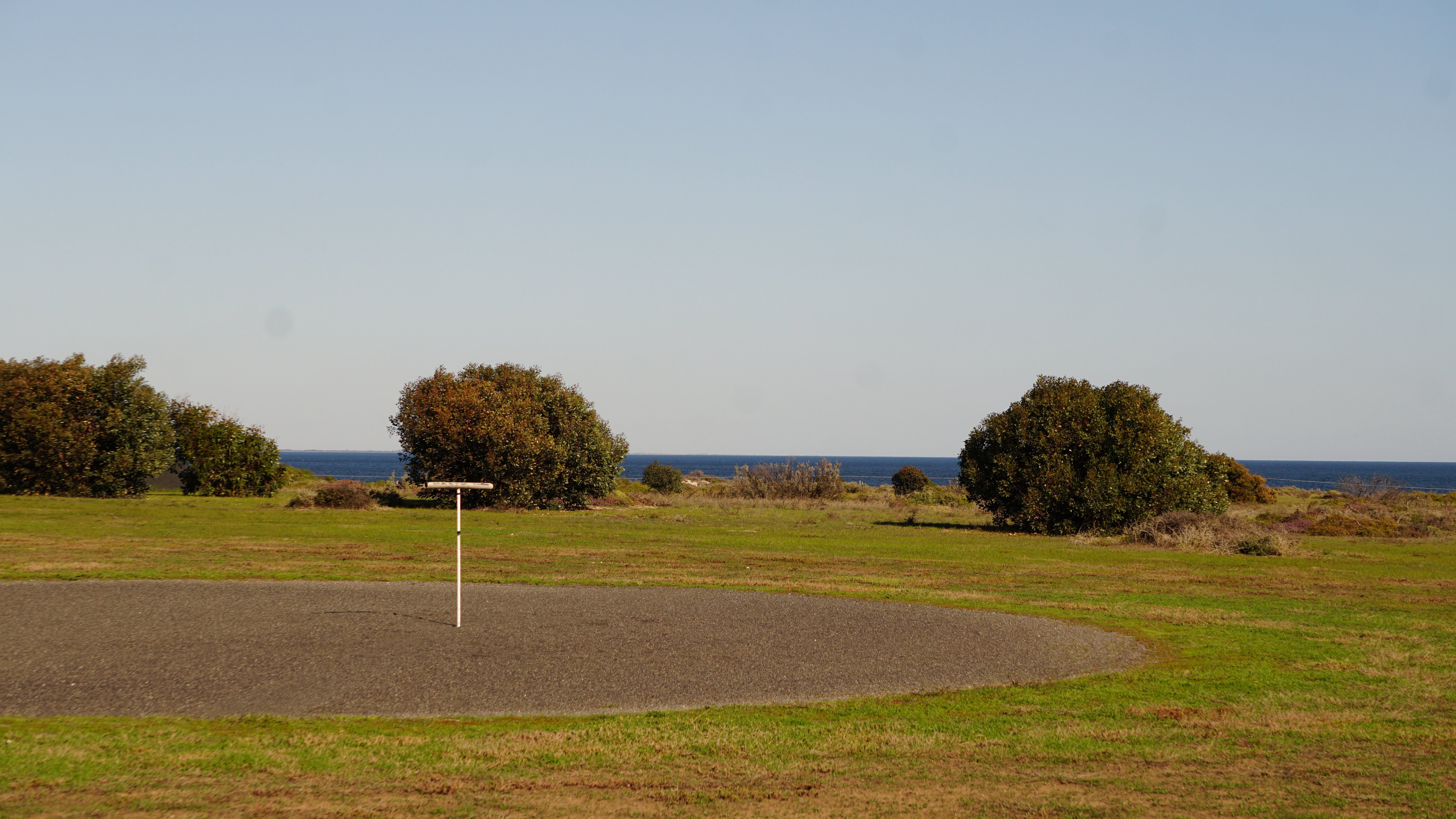 Membership Information